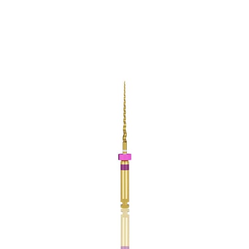Dentsply Protaper Gold Rotary Files 21mm S1 (Pack of 6)