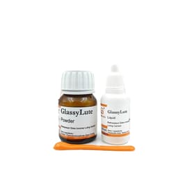 SafeEndo GlassyLute Luting GIC - 3