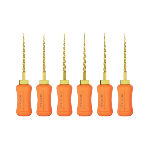 Waldent Progressive Taper Gold Hand files