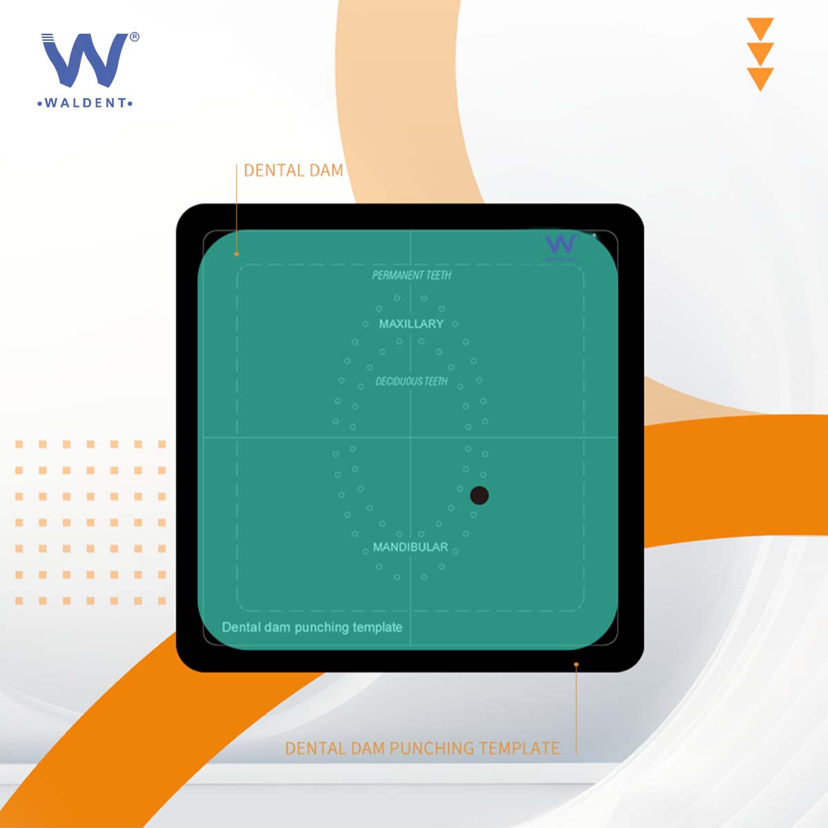 Waldent Stainless Steel Rubber Dam Instrument Kit