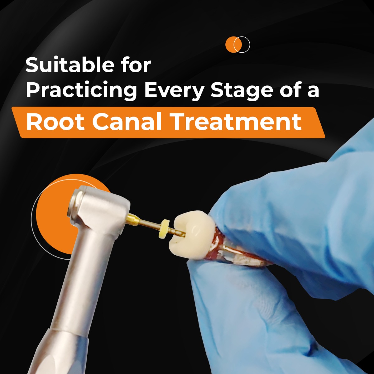 iDENTical Root Canal (RCT) Practice Tooth Model - M8008