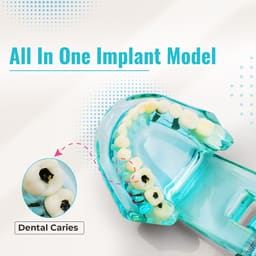 iDENTical All In One Implant Models M2001 - 19