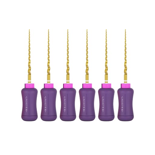 Waldent Progressive Taper Gold Hand files