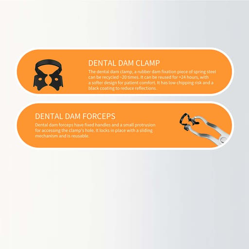 Waldent Stainless Steel Rubber Dam Instrument Kit