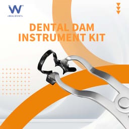 Waldent Stainless Steel Rubber Dam Instrument Kit - 19