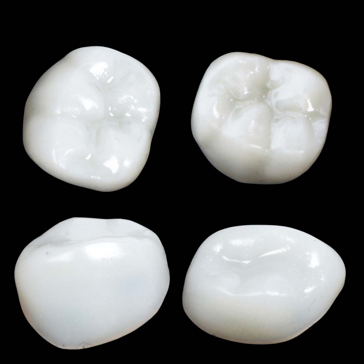 Pedo Crown Primary Molar Kits