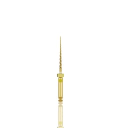 Dentsply Protaper Gold Rotary Files 21mm F1 (Pack of 6) - 2