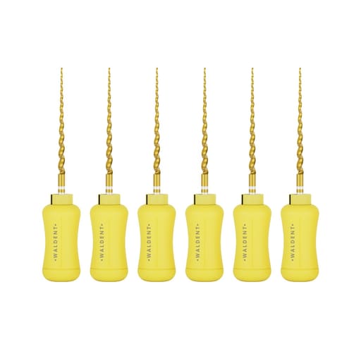 Waldent Progressive Taper Gold Hand files