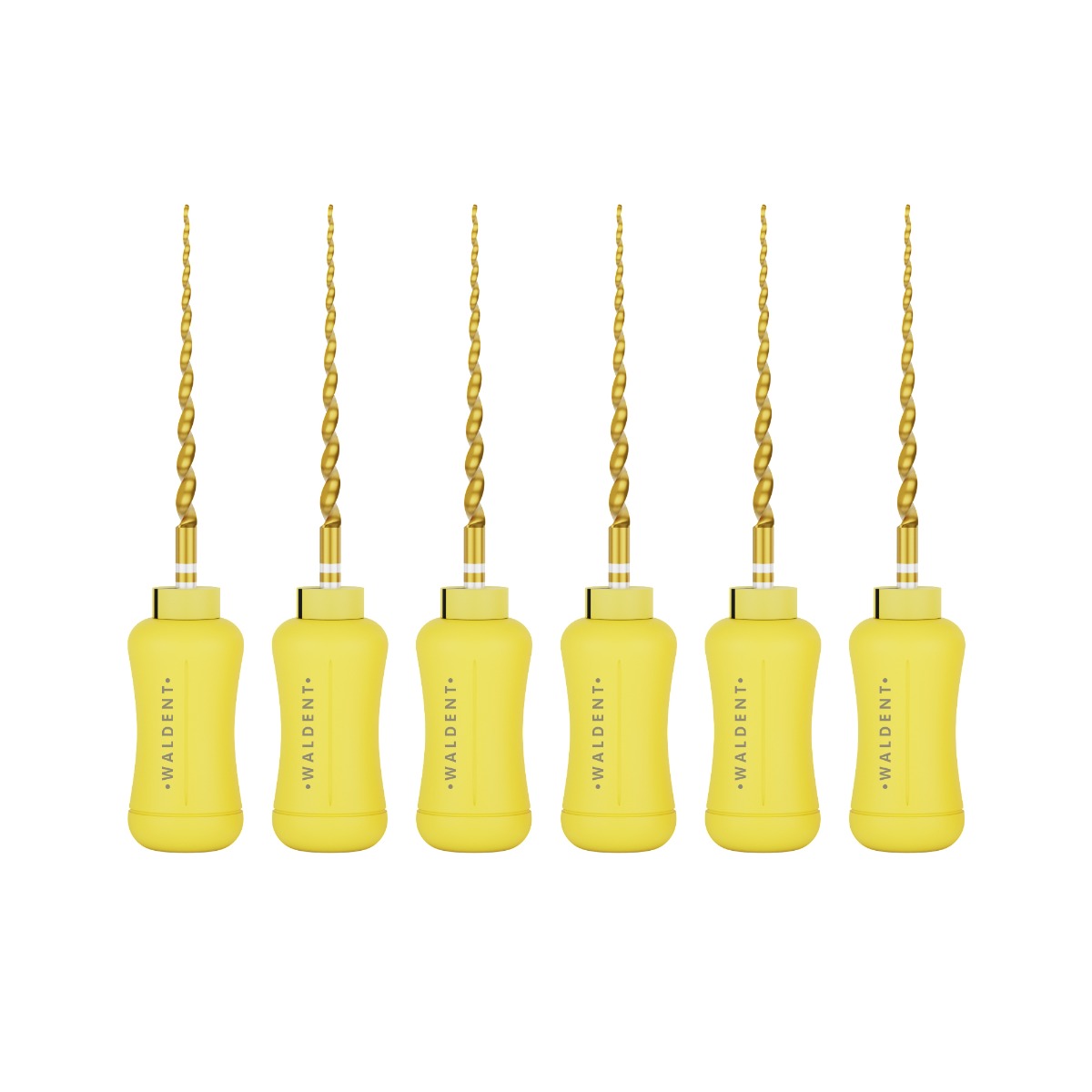 Waldent Pro-Taper Gold Hand File 21mm Assorted SX-F3 