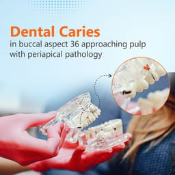iDENTical Adult Pathologies Model M4001-1 - 13