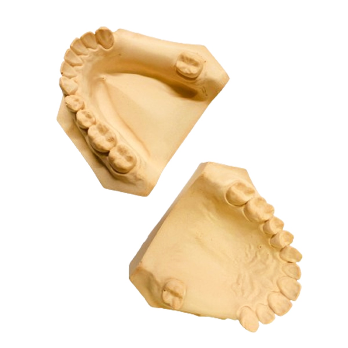 iDENTical Partially Edentulous Silicone Cast Moulds