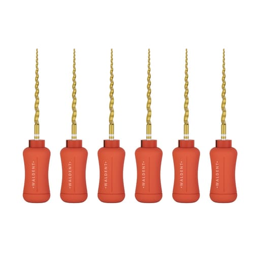Waldent Progressive Taper Gold Hand files
