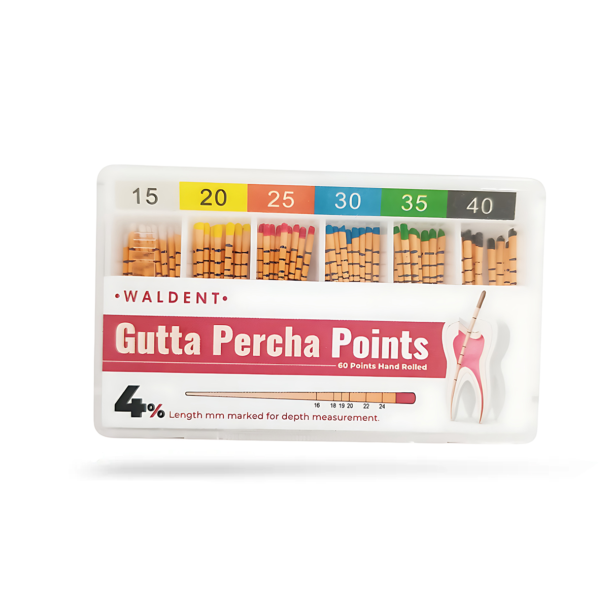 Waldent Gutta Percha Points 4% (Length Marked) #15-40