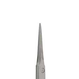 Waldent Surgical Scissors - Micro Iris - 2