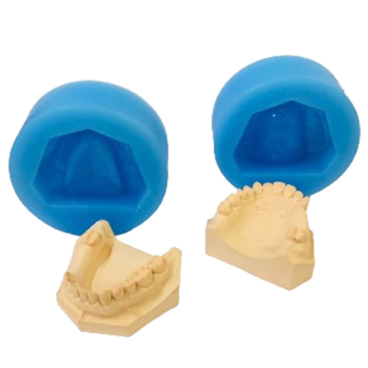 iDENTical Partially Edentulous Silicone Cast Moulds