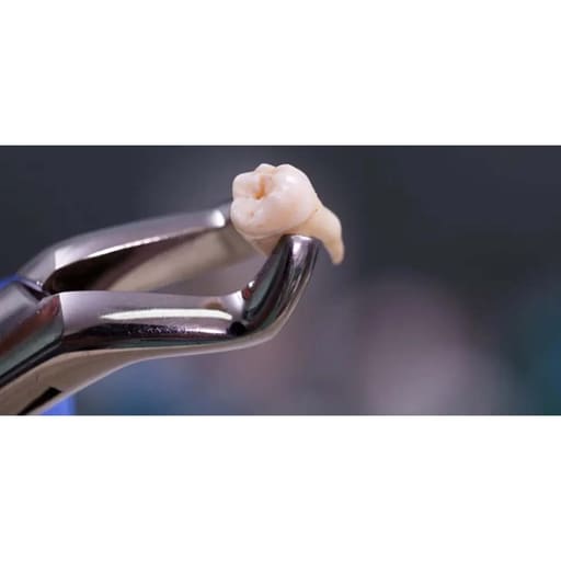 Oracraft Extraction Forceps
