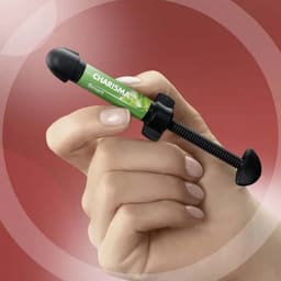 Kulzer Charisma Smart Composite 4g Syringe Refill  - 15