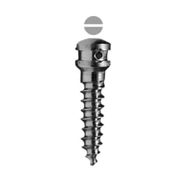SK Surgicals SS IMF Screws (Pack of 5) - 1