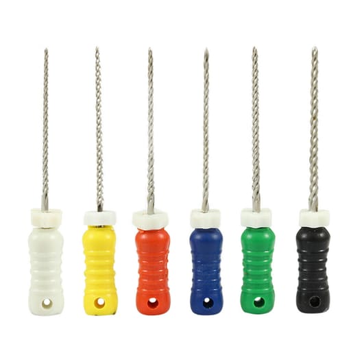 Waldent Professional K-File 21mm