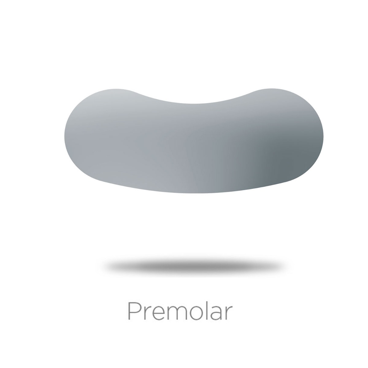 Polydentia QuickmatFLEX Sectional Matrices