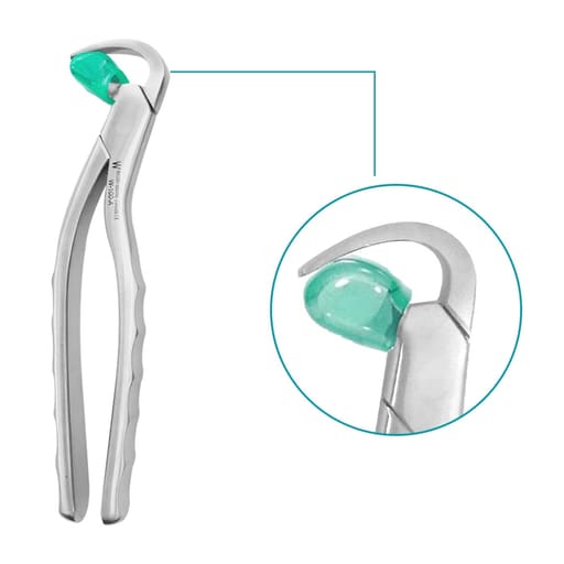 Waldent Physics Forceps - Pack of 1