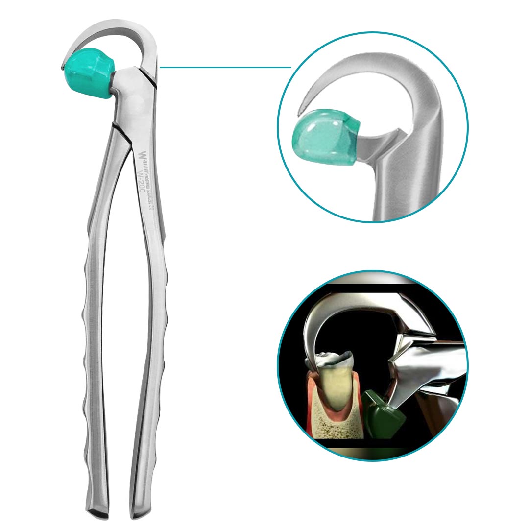 Waldent Physics Forceps - Pack of 1