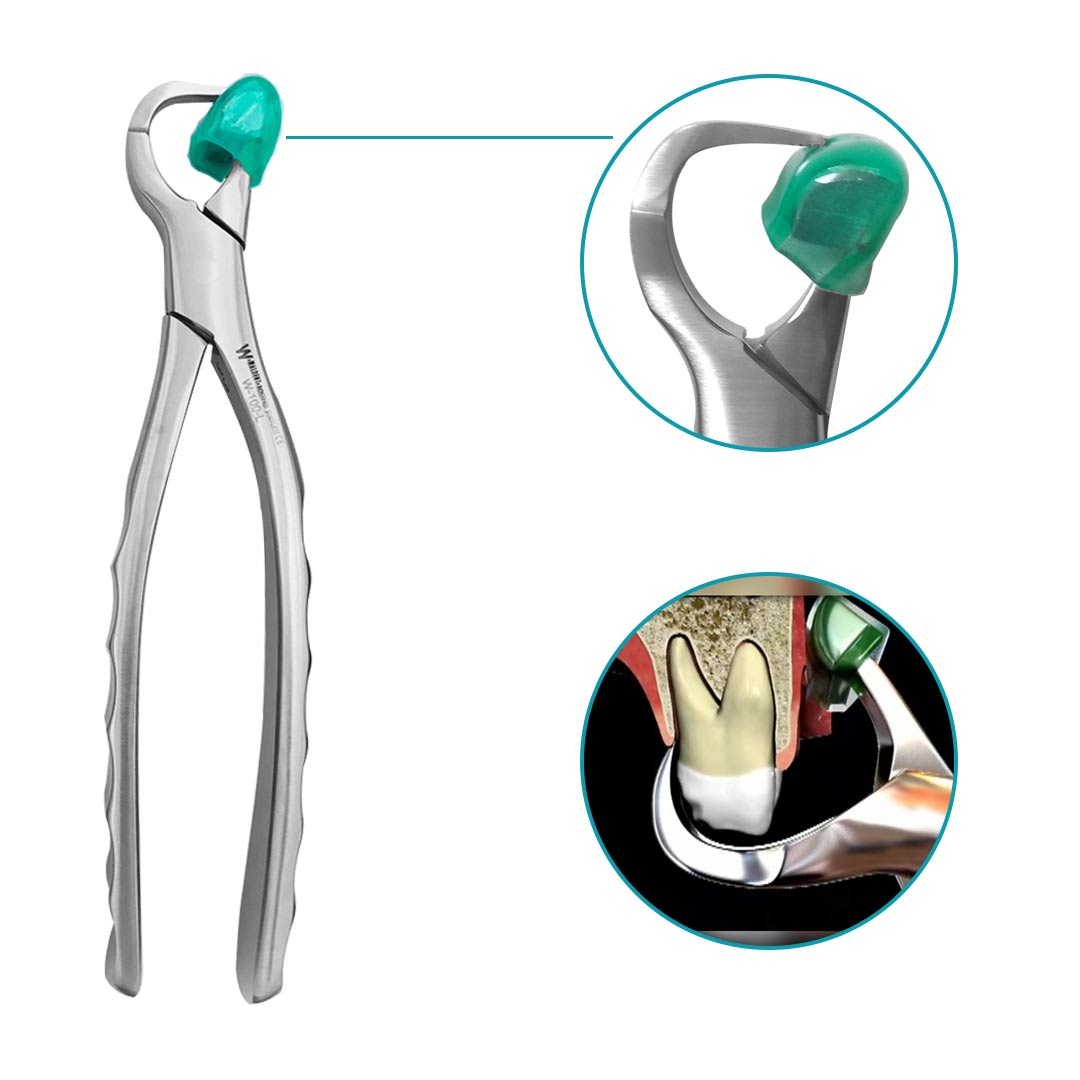 Waldent Physics Forceps - Pack of 1