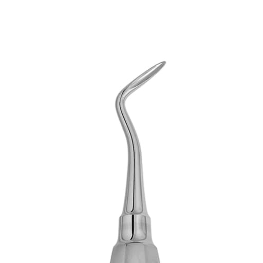 Waldent Flohr Root Elevators