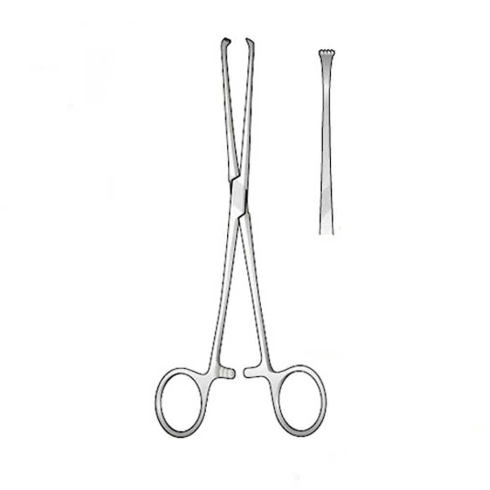 GDC Allis Forceps Baby-4x5 (12.5cm) (TFB)