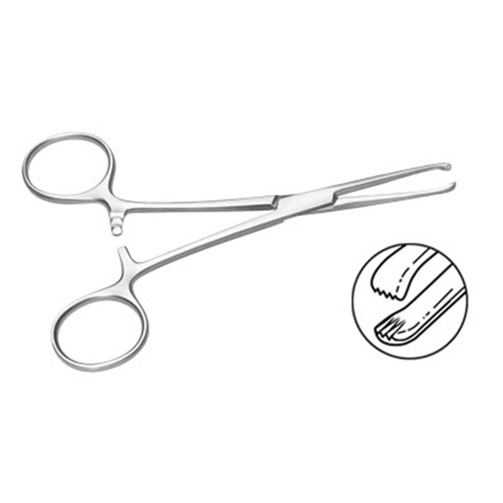 GDC Allis Forceps Baby-4x5 (12.5cm) (TFB)