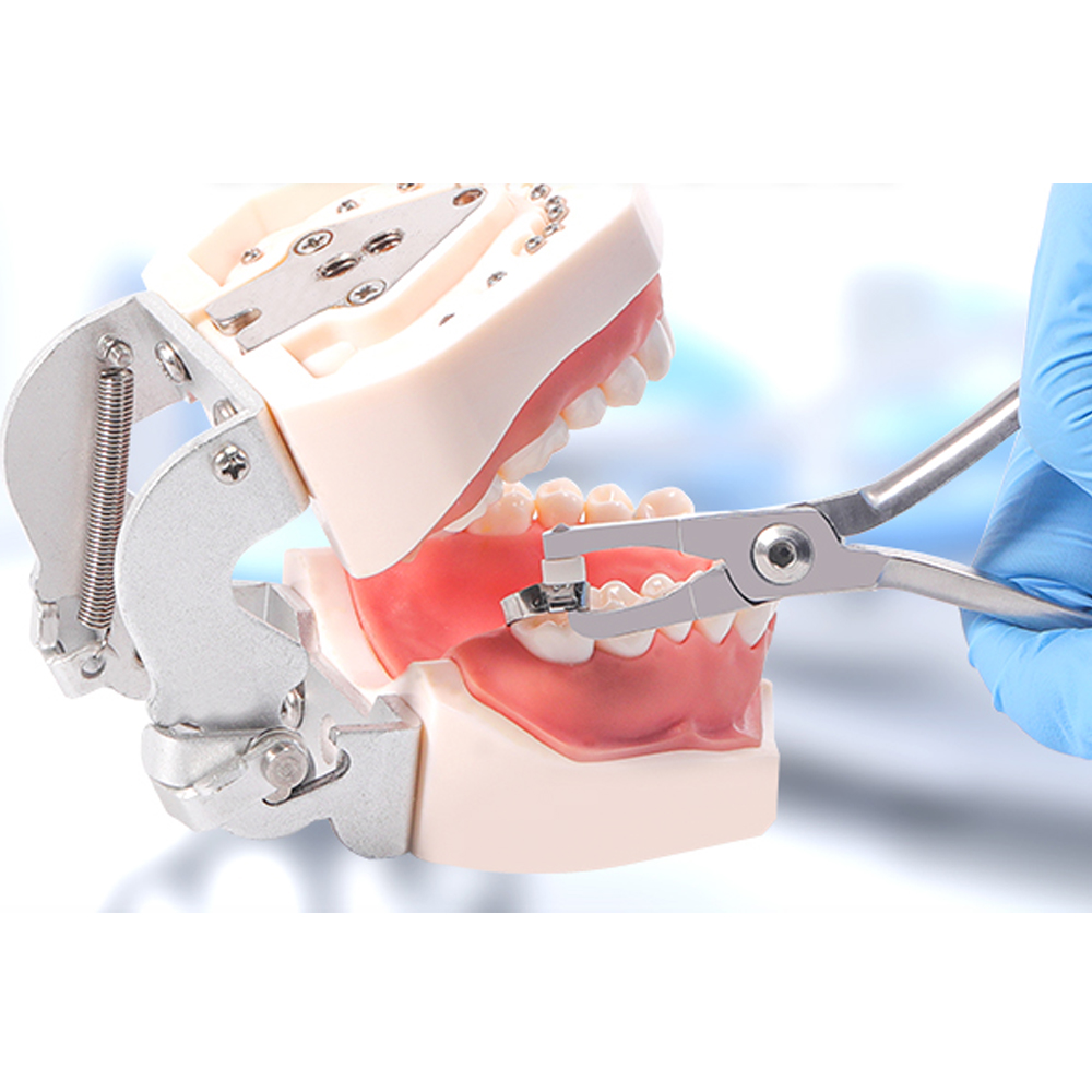 Koden Posterior Band Removing Plier (Euphoria League)