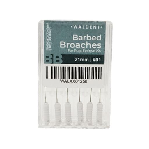 Waldent Barbed Broaches 21mm (Pack of 6)