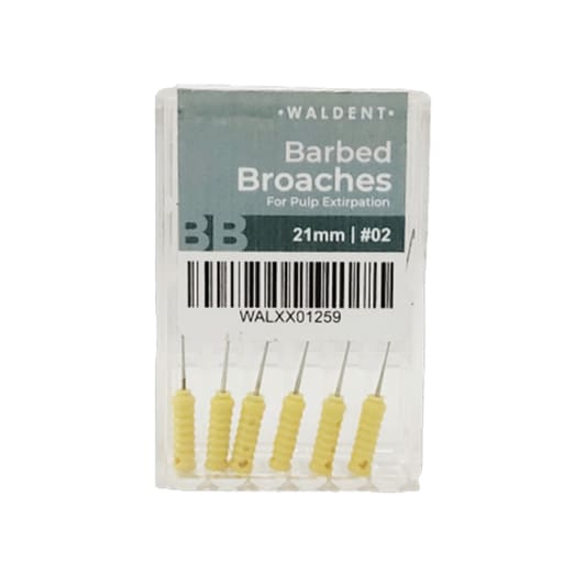 Waldent Barbed Broaches 21mm (Pack of 6)