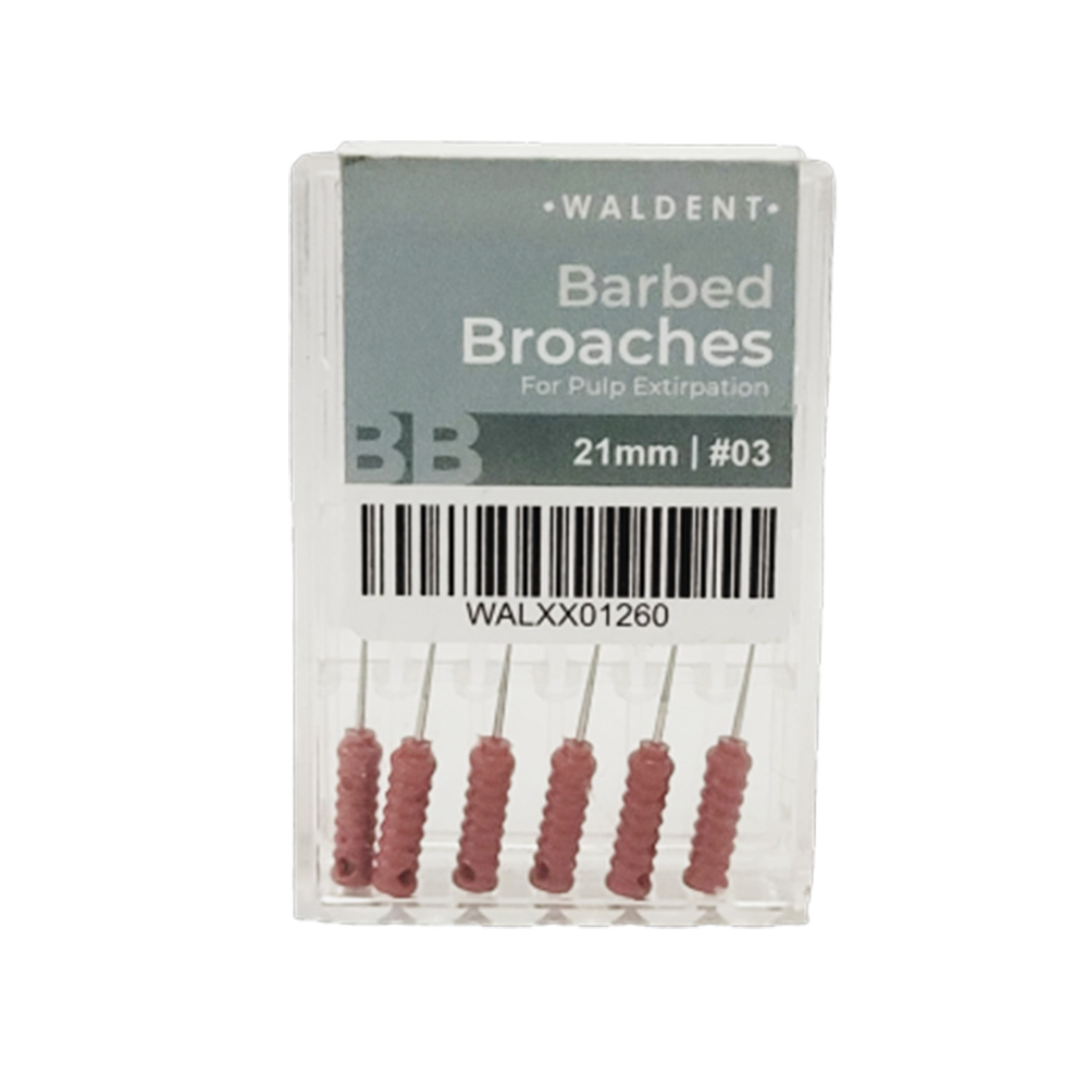 Waldent Barbed Broaches 21mm (Pack of 6)