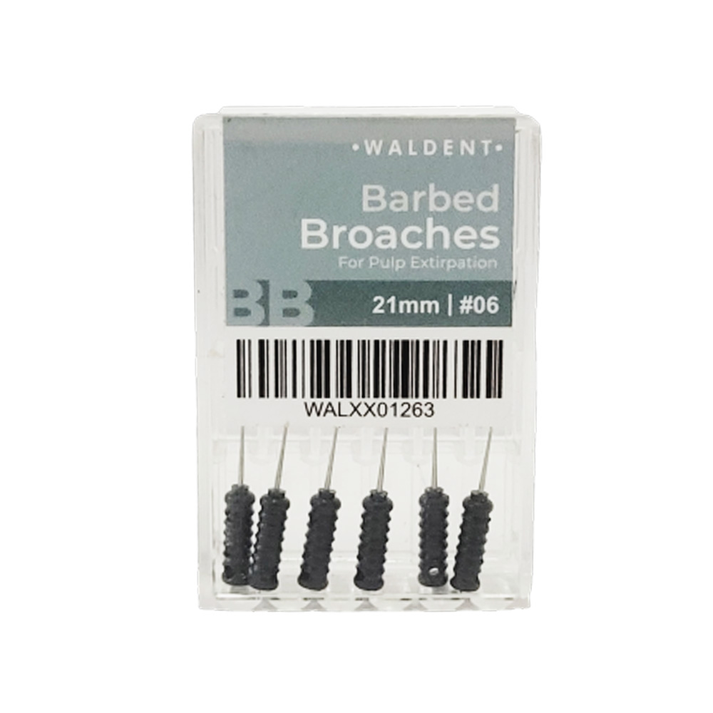 Waldent Barbed Broaches 21mm (Pack of 6)