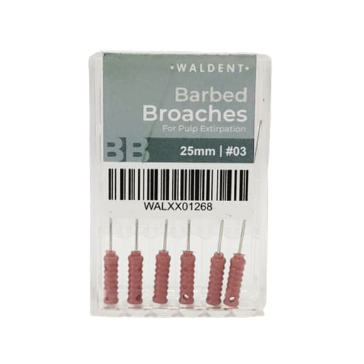 Waldent Barbed Broaches 25mm (Pack of 6)