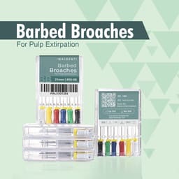 Waldent Barbed Broaches 21mm (Pack of 6) - 4