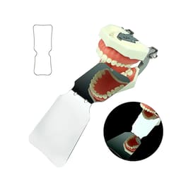 U Ortho Double Sided Stainless Steel Photographic Mirrors Angulated - 13