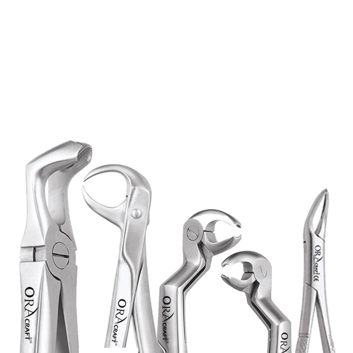 Oracraft Extraction Forceps
