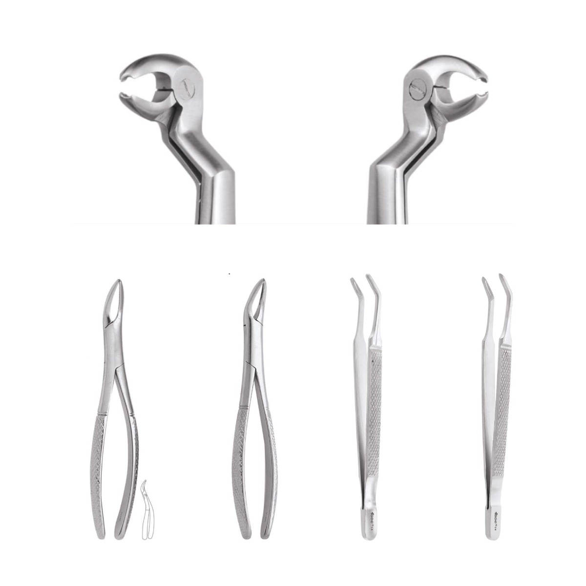 GDC Extraction Forceps Special Wisdom Routrier