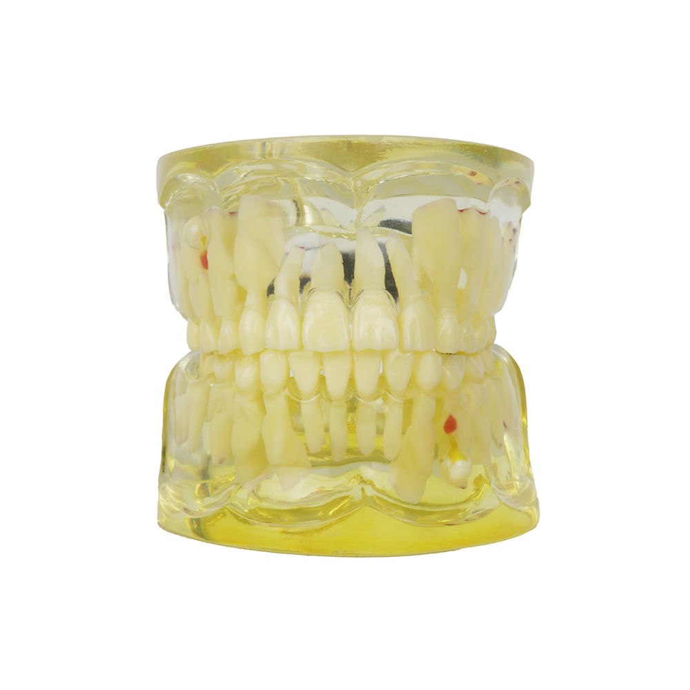 IDENTical Paediatric Model with Pathologies M4002