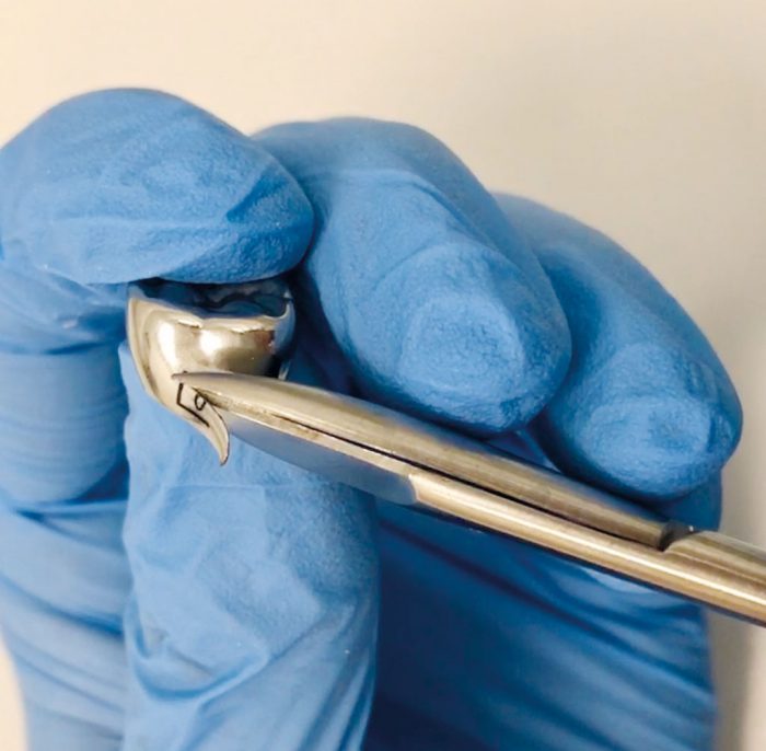 Waldent Crown & Band Scissors (3/132)