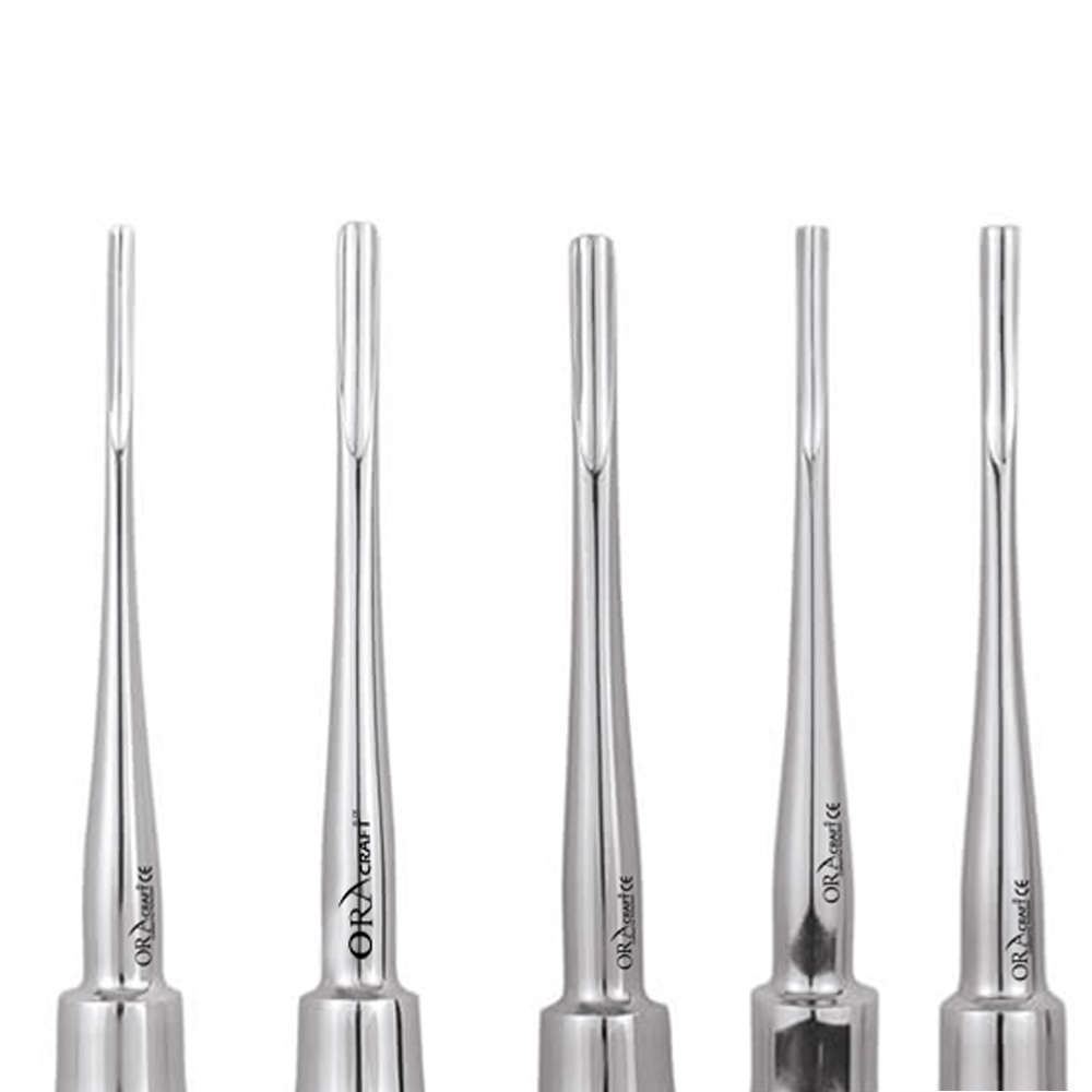 Oracraft Root Elevator Bein