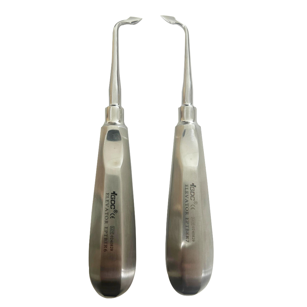 GDC Root Bernard Elevators