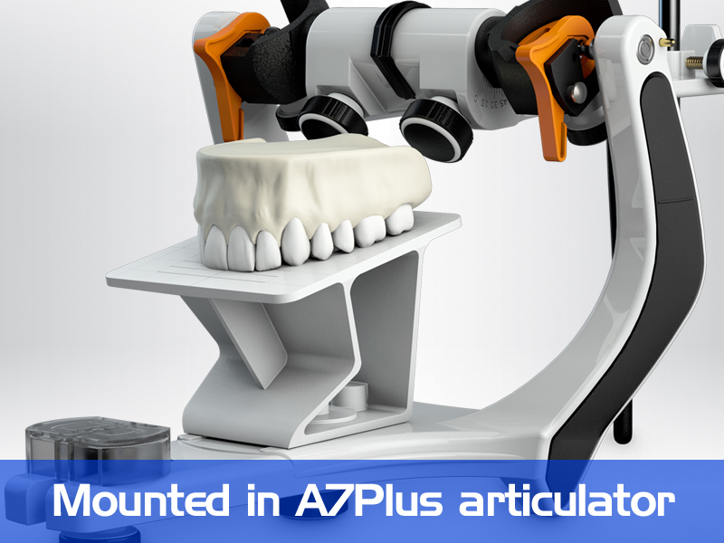Bio-Art Dental Articulator Camper's Table