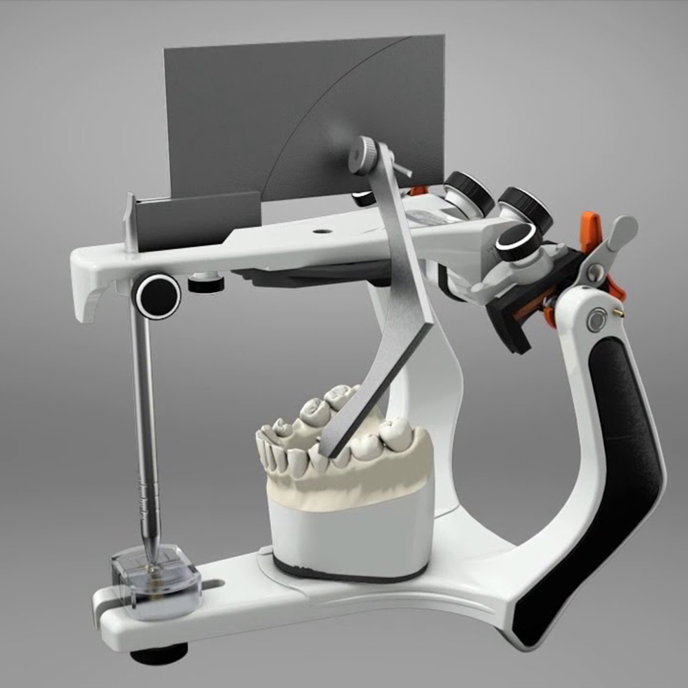 Bio Art Broadrick Flag