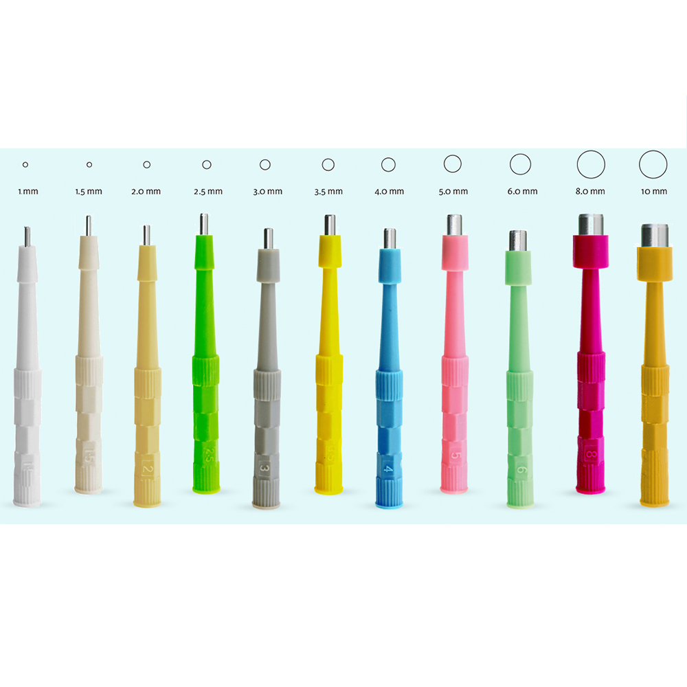 Disposable Biopsy Punch Standard