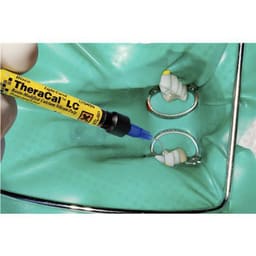 Bisco TheraCal LC Light Cure Resin Cavity Liner Syringe - 8