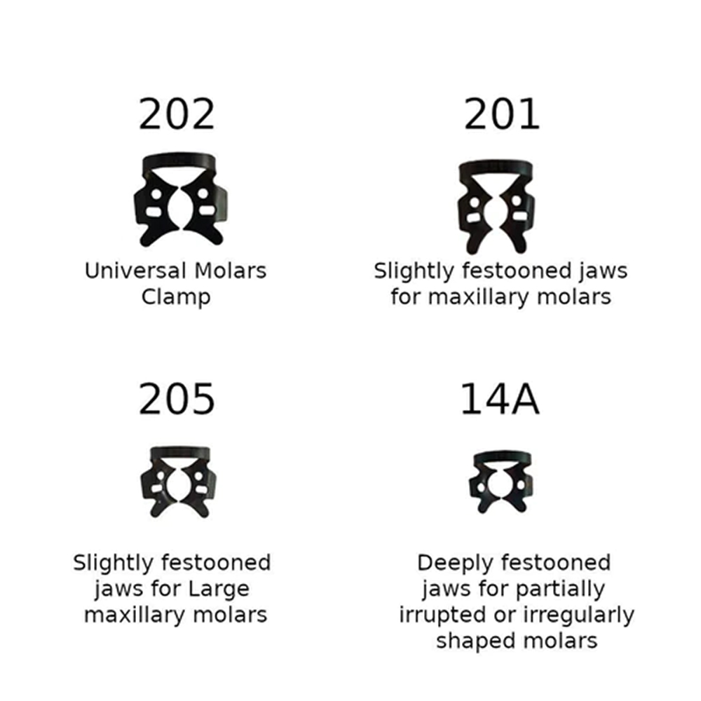 GDC Rubber Dam Clamps Set # Black (RDCOBB11)