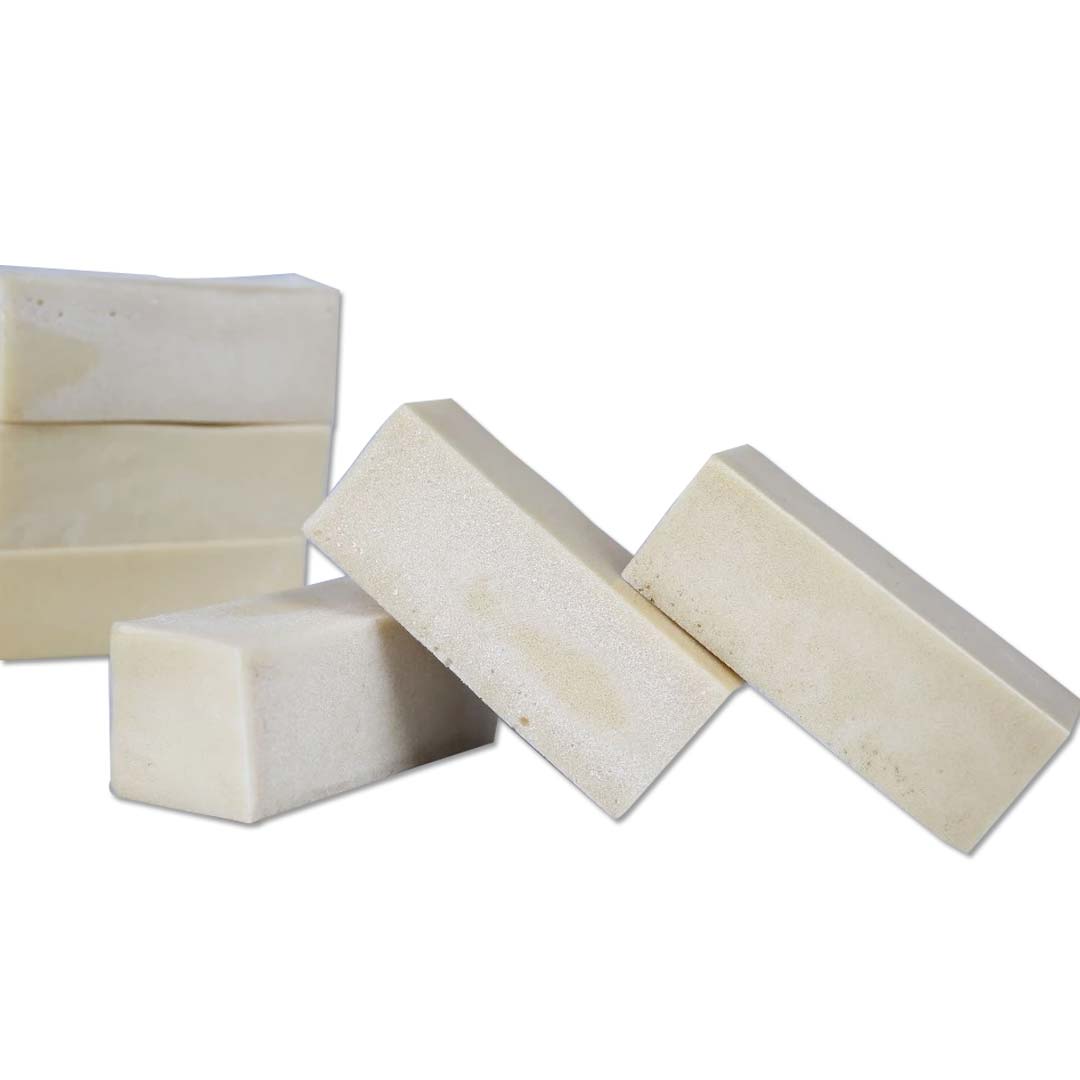 iDENTical Implant practice Bone Graft Model M2021